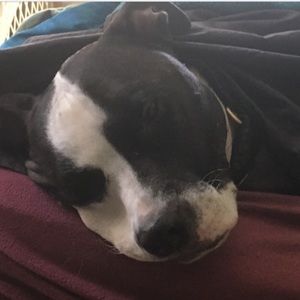 Meet your Posher, Tammy